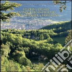 Stepping stones. Un progetto integrato per ri-abitare la montagna libro