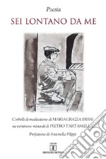 Sei lontano da me. Corbelli di meditazione di Mariagrazia Dessi su ventinove misurali di Pietro Tartamella libro