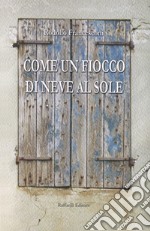 Come un fiocco di neve al sole libro