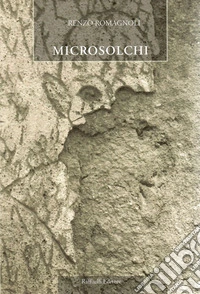 Microsolchi
