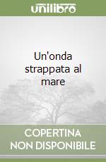 Un'onda strappata al mare