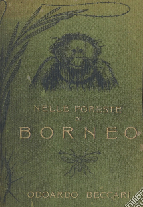 Nelle foreste di Borneo. Ediz. integrale