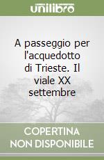 A passeggio per l'acquedotto di Trieste. Il viale XX settembre libro