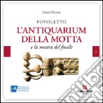 Povoletto. L'antiquarium della Motta e la mostra del fossile libro