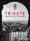 Trieste nelle realizzazioni fasciste. Opere pubbliche 1923-1935. Ediz. illustrata libro