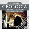 Geologia del Carso triestino. Vol. 6: Fenomeni di carsismo ipogeo libro