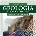 Geologia del Carso triestino. Vol. 5: Fenomeni di carsismo epigeo libro