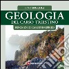 Geologia del Carso triestino. Vol. 5: Fenomeni di carsismo epigeo libro di Sfregola Pino