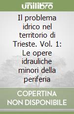 Il problema idrico nel territorio di Trieste. Vol. 1: Le opere idrauliche minori della periferia libro