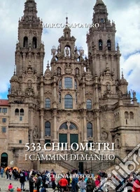 533 chilometri. I cammini di Manlio libro