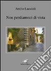 Non perdiamoci di vista libro