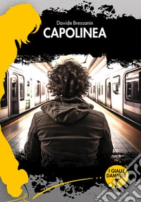 Capolinea. La quarta avventura di Fred Sonetto e l'Agenzia Sabato libro