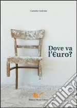 Dove va l'euro? libro