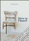 Dove va l'euro? libro