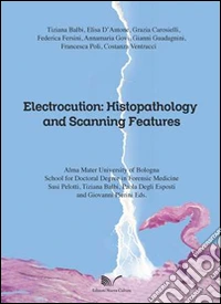 Electrocution. Histopathology and scanning features