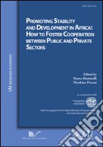 Promoting stability and development in Africa. How to foster cooperation between public and private sectors libro