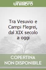 Tra Vesuvio e Campi Flegrei, dal XIX secolo a oggi