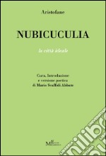 Nubicuculia. La città ideale libro