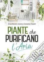 Piante che purificano l'aria libro