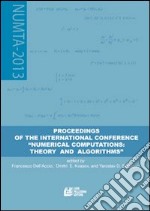 Proceeding of the international conference «numerical computations: theory and algorithms» libro