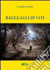 Ragguagli di vite libro