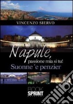 Napule, passione mia si tu! libro