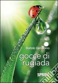 Gocce di rugiada