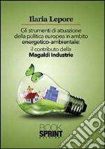 Gli Strumenti di attuazione della politica europea in ambito energetico-ambientale. Il contributo della Magaldi Industrie libro