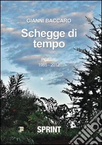 Schegge di tempo libro