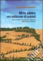 Mille pietre un milione di passi libro