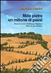 Mille pietre un milione di passi libro