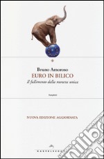 Euro in bilico. Il fallimento della moneta unica libro