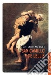 San Camillo De Lellis libro