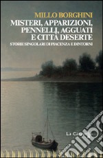 Misteri, apparizioni, pennelli, agguati e città deserte. Storie singolari di Piacenza e dintorni libro