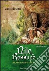 Nilo da Rossano. Prima uomo poi santo libro