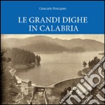 Le grandi dighe in Calabria libro