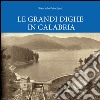 Le grandi dighe in Calabria libro di Principato Giancarlo