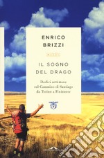 Il sogno del drago. Dodici settimane sul Cammino di Santiago da Torino a Finisterre libro