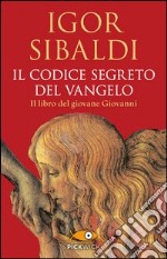 Il codice segreto del Vangelo. Il libro del giovane Giovanni libro