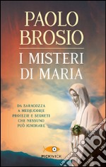 I misteri di Maria. Da Saragozza a Medjugorje profezie e segreti che nessuno può ignorare libro