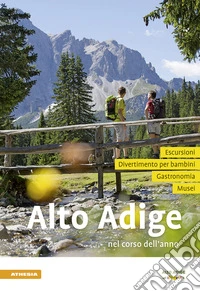 Alto Adige nel corso dell'anno 2019 libro
