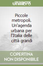 Piccole metropoli. Un'agenda urbana per l'Italia delle città grandi