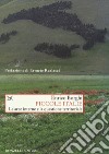 Piccole Italie. Le aree interne e la questione territoriale libro di Borghi Enrico