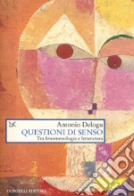 Questioni di senso. Tra fenomenologia e letteratura libro