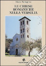 Le chiese romaniche nella Versilia libro