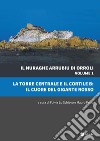 Il nuraghe Arrubiu di Orroli. Vol. 1: La torre centrale e il cortile B: il cuore del gigante rosso libro