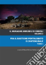 Il nuraghe Arrubiu di Orroli. Vol. 3/1: Fra il bastione pentalobato e l'antemurale