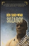 Sozaboy libro