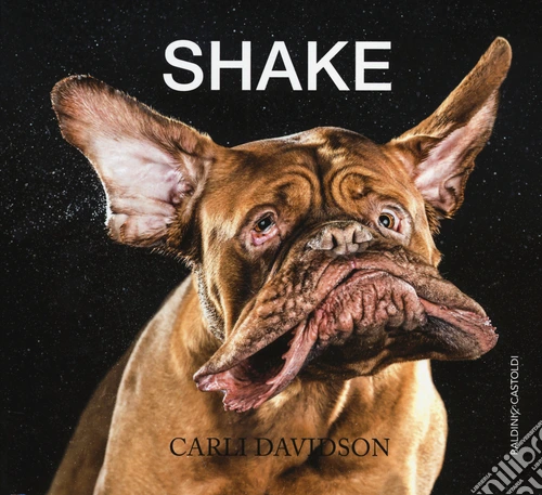 Shake. Ediz. illustrata