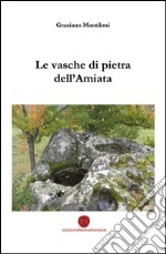 Le vasche di pietra dell'Amiata libro